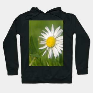 Daisy Macro Hoodie